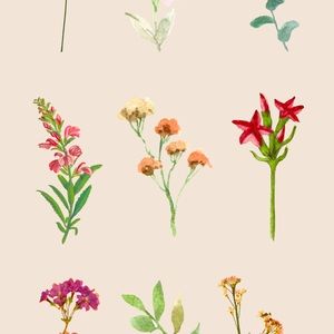 New Inventory coming Soon